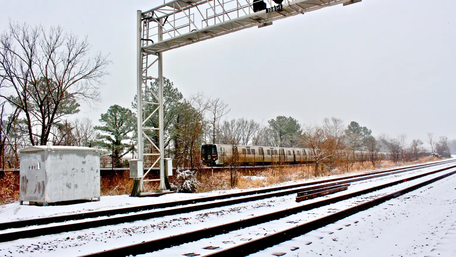 Rail tracks through a forest